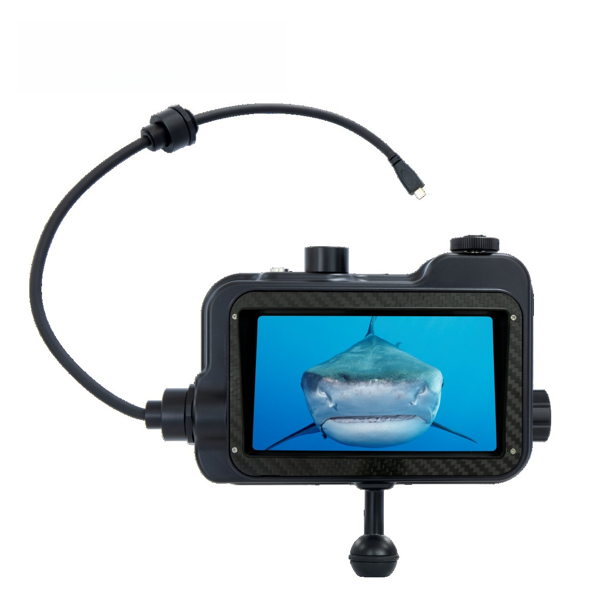 HDR monitor, diving photograph – Photography Lighting Definition recenzja i cena